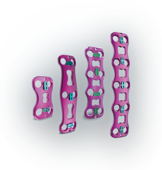 Acelock anterior cervical plates